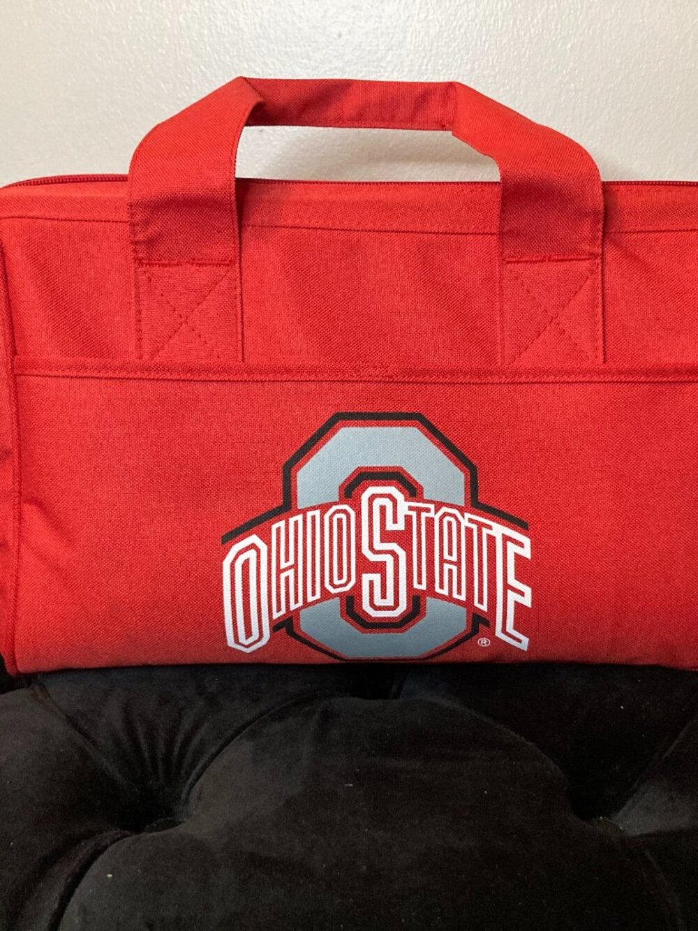 Ohio State Buckeyes Collapsible Cooler Bag - Zip Close With Handles - 18" x 7.5"